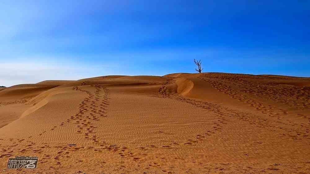 塞北天漠在哪里？滑沙、骑骆驼...天漠好玩吗？
