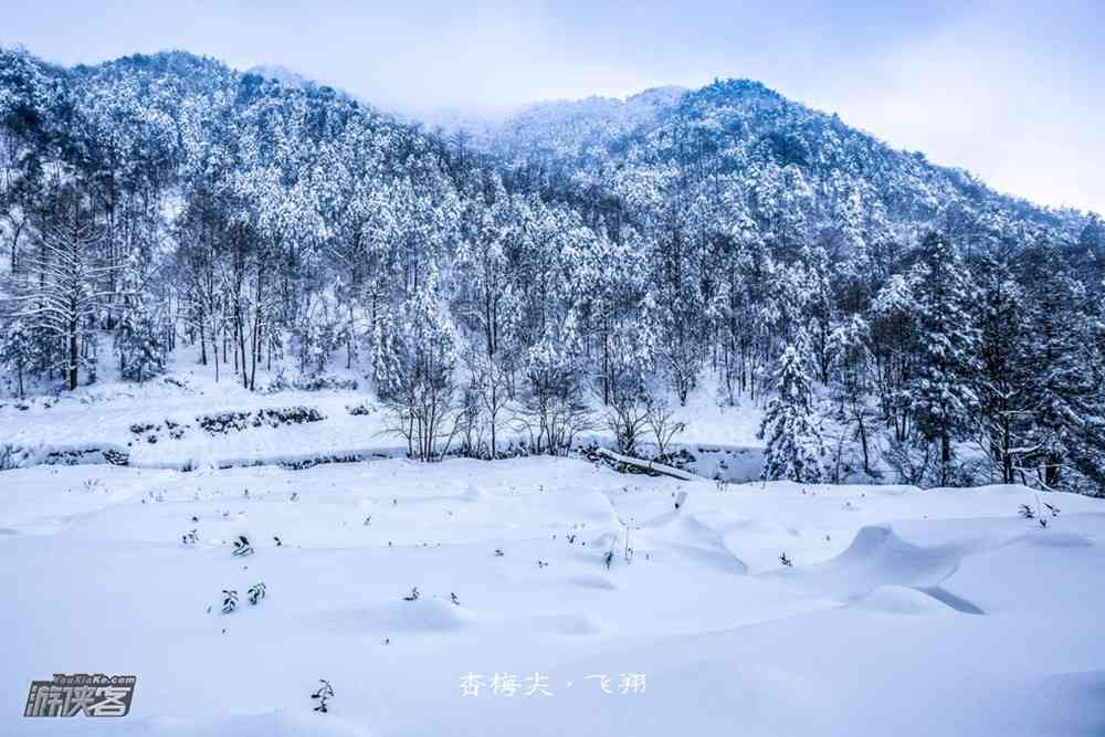 春节杭州周边游