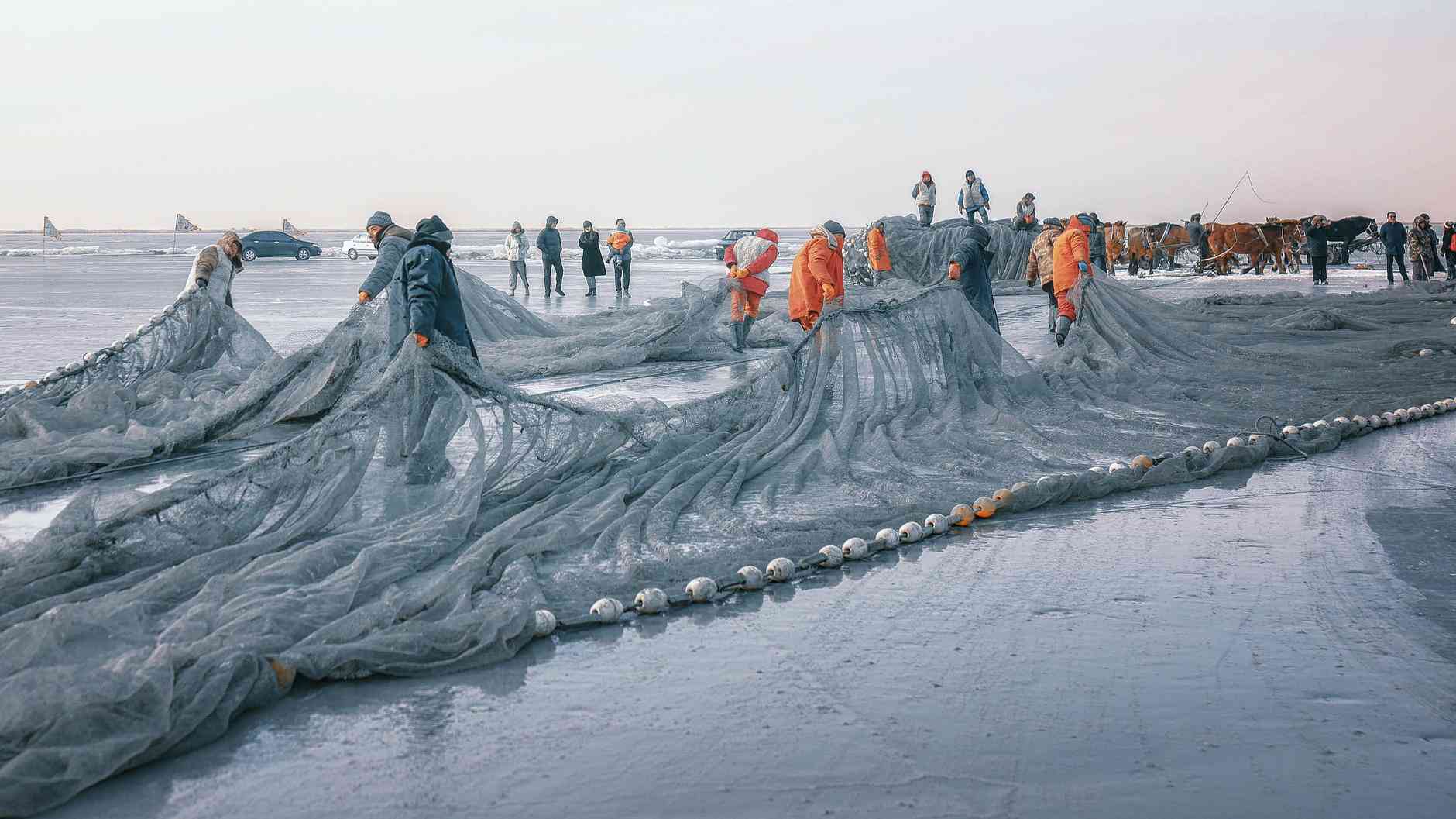 查干湖冬捕时间什么时候开始？查干湖冬捕一日游交通攻略