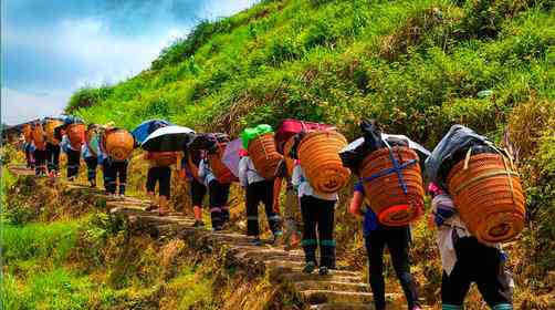 龙脊梯田最佳旅游季节,龙脊梯田一日游攻略