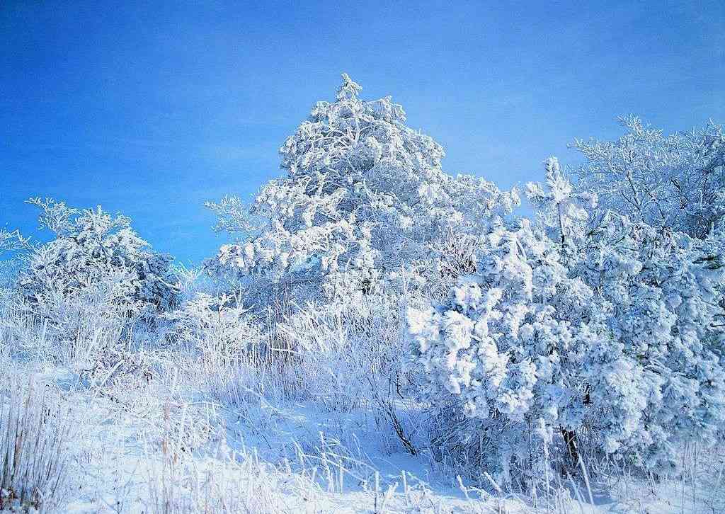 红星湿地雪原怎么样