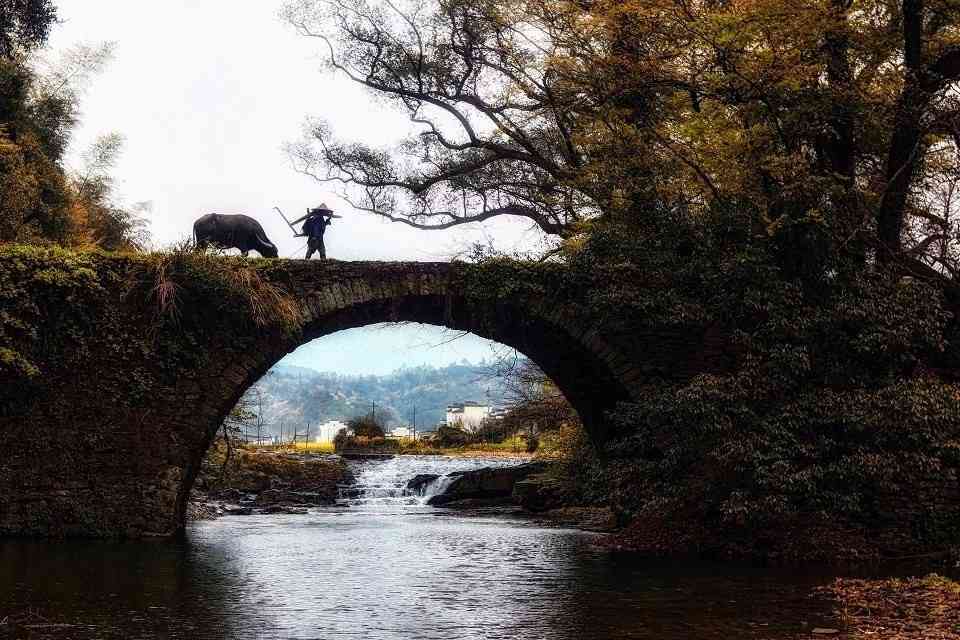 去婺源旅游要注意什么