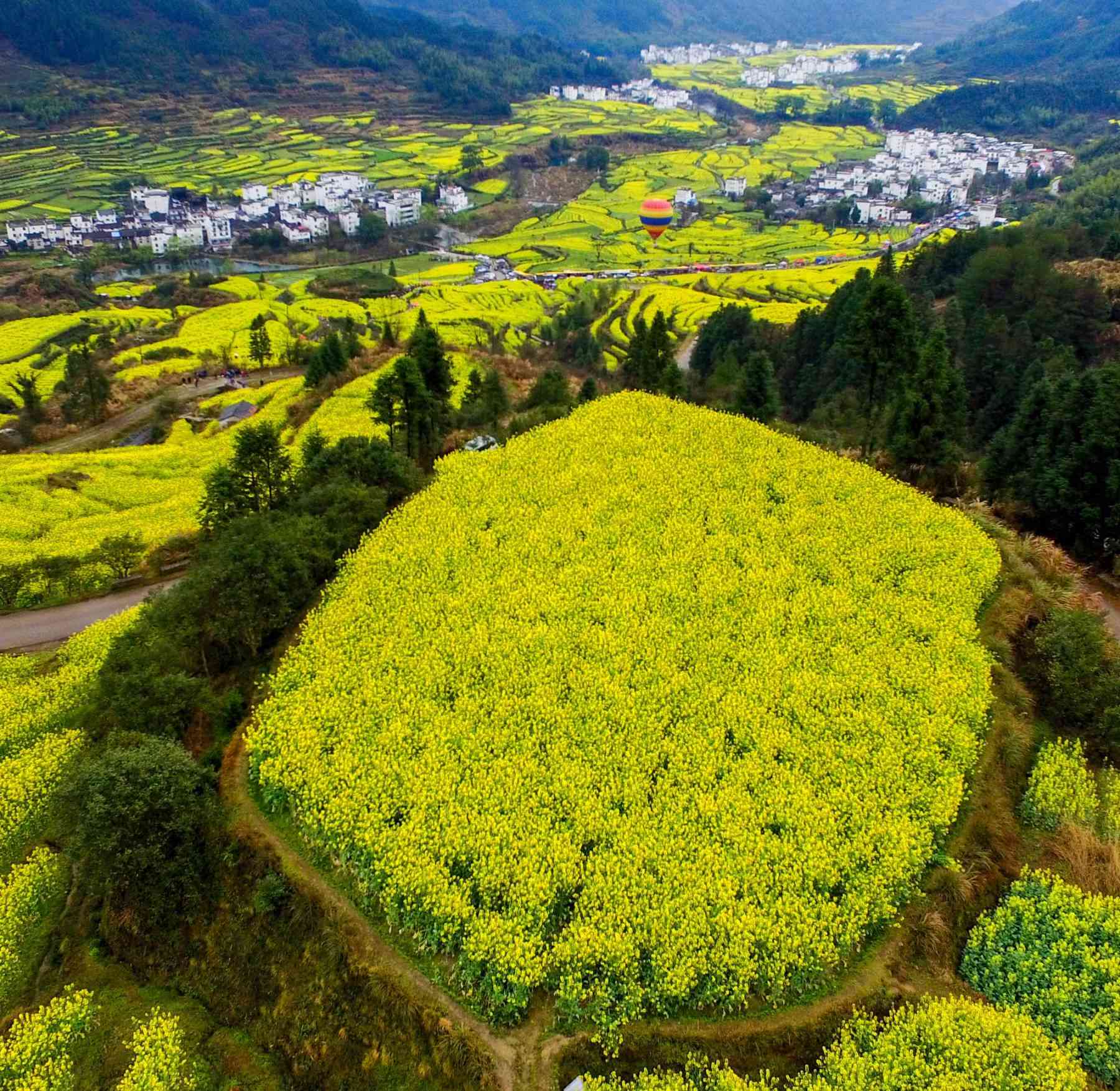 婺源看油菜花的地方