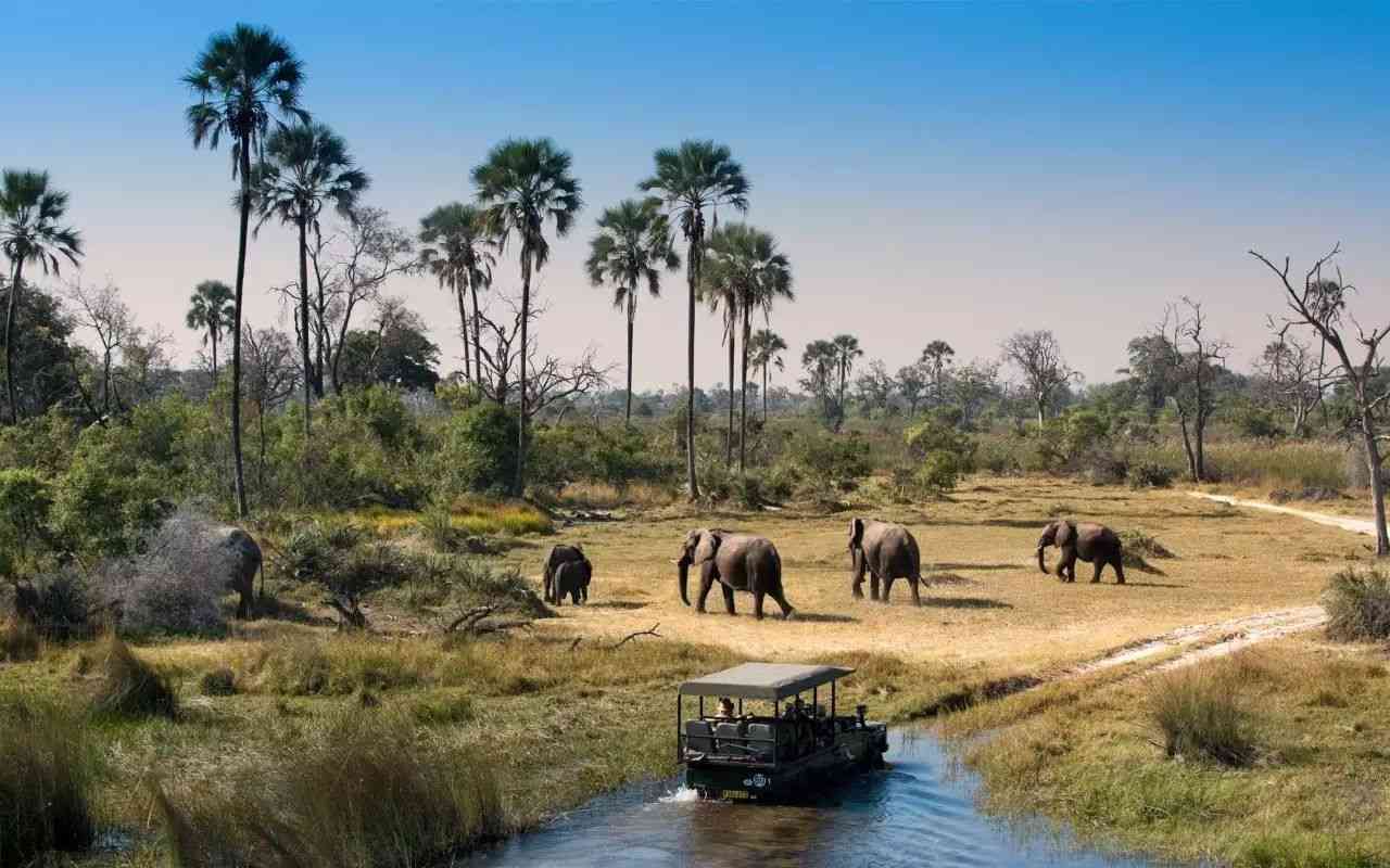 博茨瓦纳面向全球开放落地签，博茨瓦纳旅游景点推荐