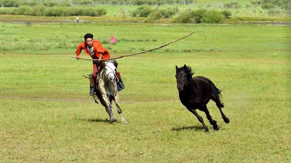 蒙古族的传统体育项目