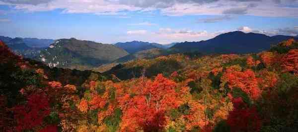 四川赏枫叶最全指南