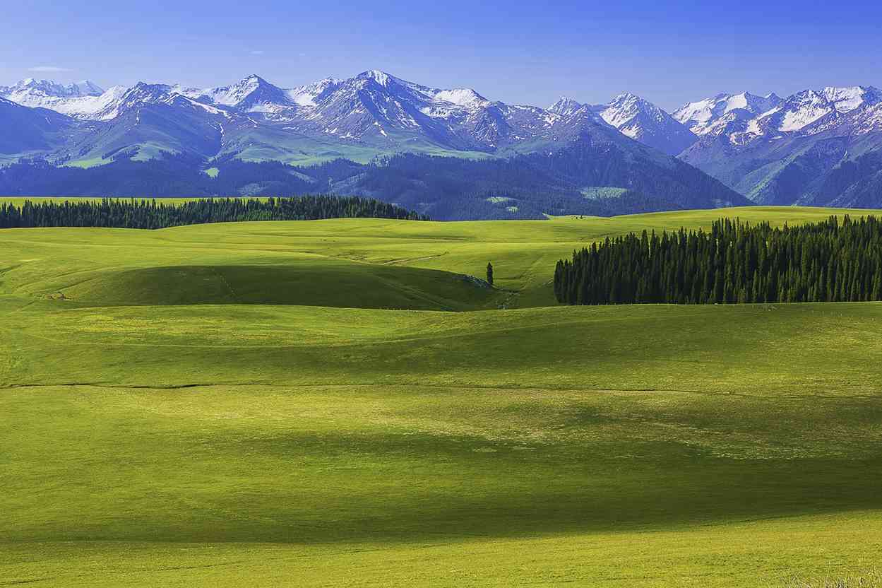 可以拴住野马的新疆十大草原