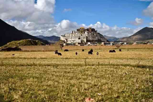 你知道西藏最美的地方在哪里吗？