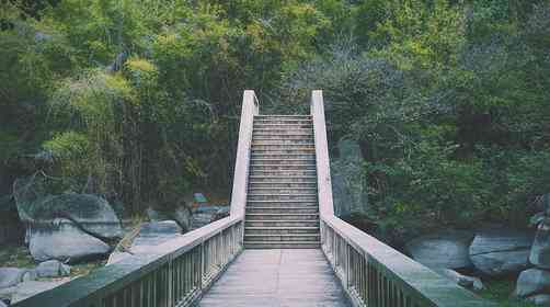 除了鼓浪屿环岛路的厦门，还有万石植物园