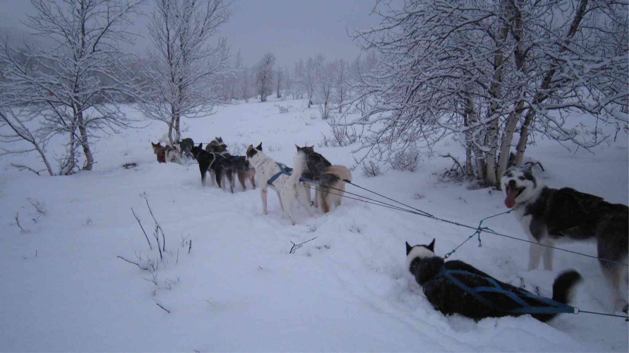 冰雪十里画廊怎么样