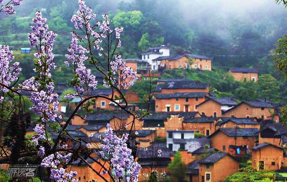 松阳旅游怎么玩？穿越原始森林的古村轻徒步线路推荐