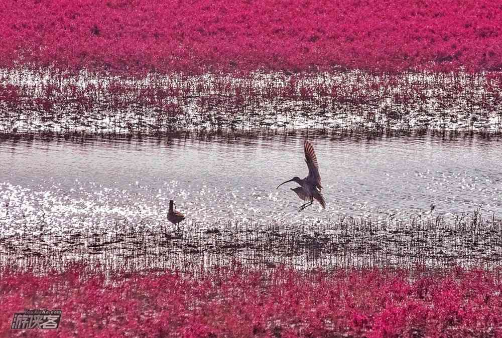 呼伦贝尔旅游最佳时间