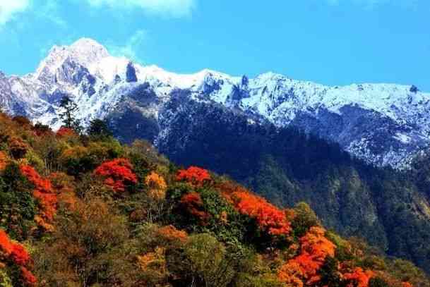 四川雅安东拉山大峡谷攻略