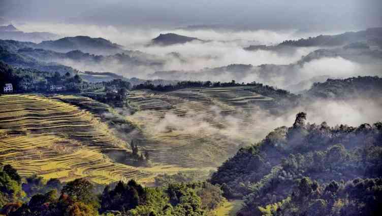 黔北旅行攻略之八（宝源梯田）