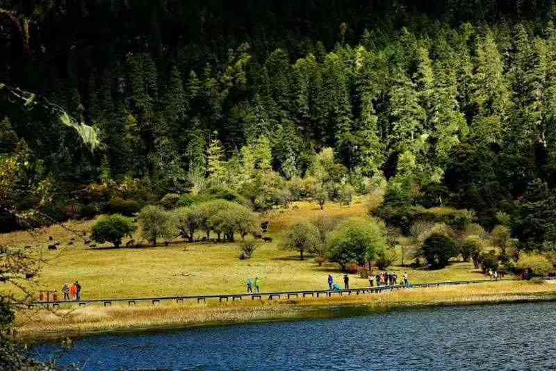 香格里拉在哪里?香格里拉排名前列的景点推荐