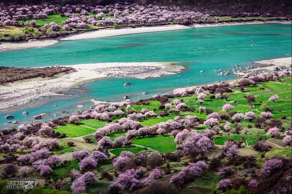 春天适合去哪里旅游