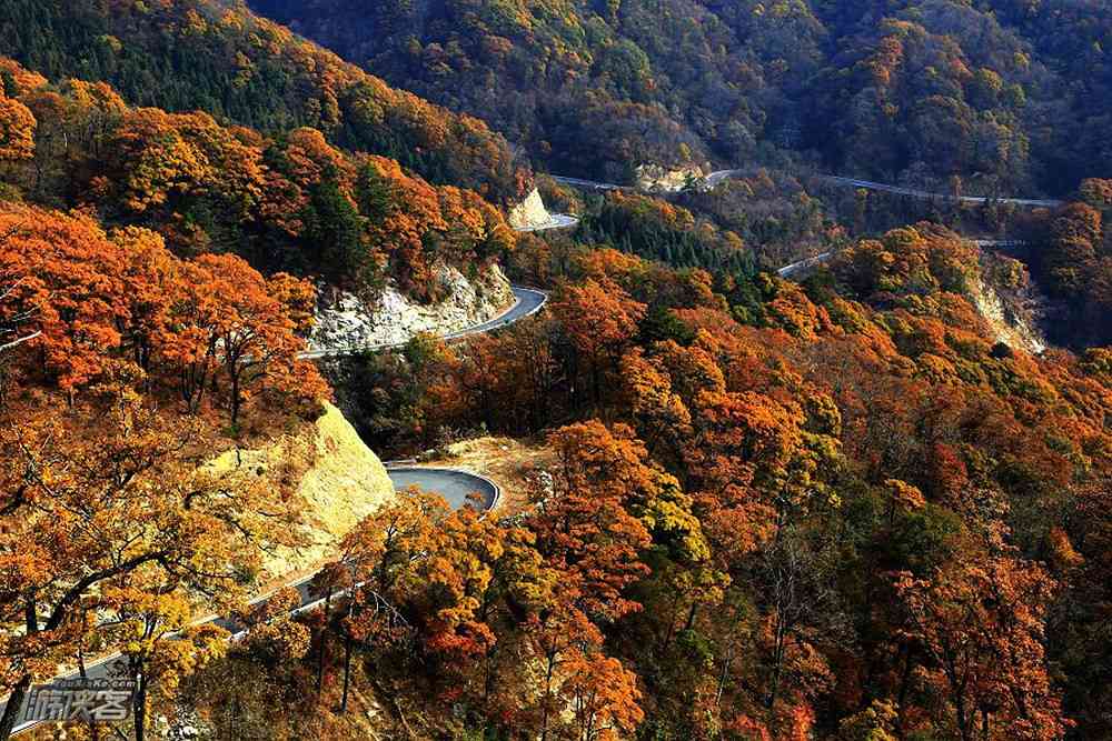 大别山旅游看秋色，不能错过马鬃岭、天堂寨