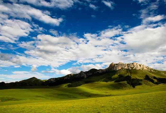 甘南最美的四大草原