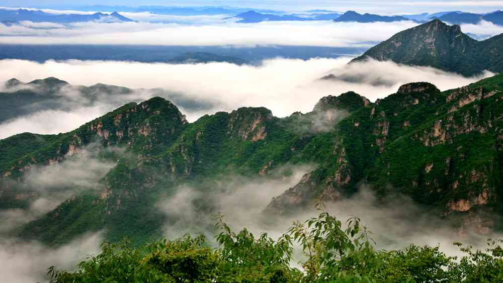 2018北京云蒙山杜鹃什么时候开，怎么去？