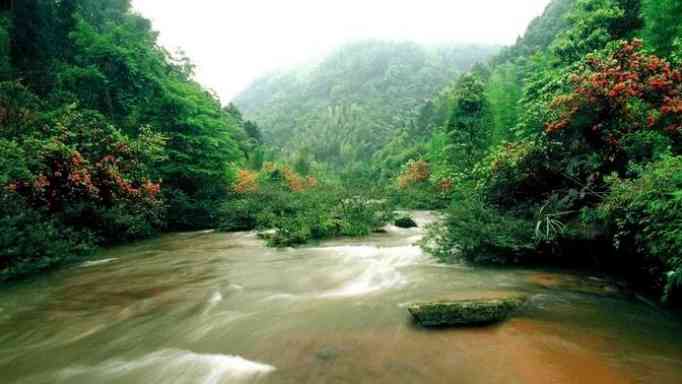 黔北旅行攻略之四（侏罗纪公园-桫椤）