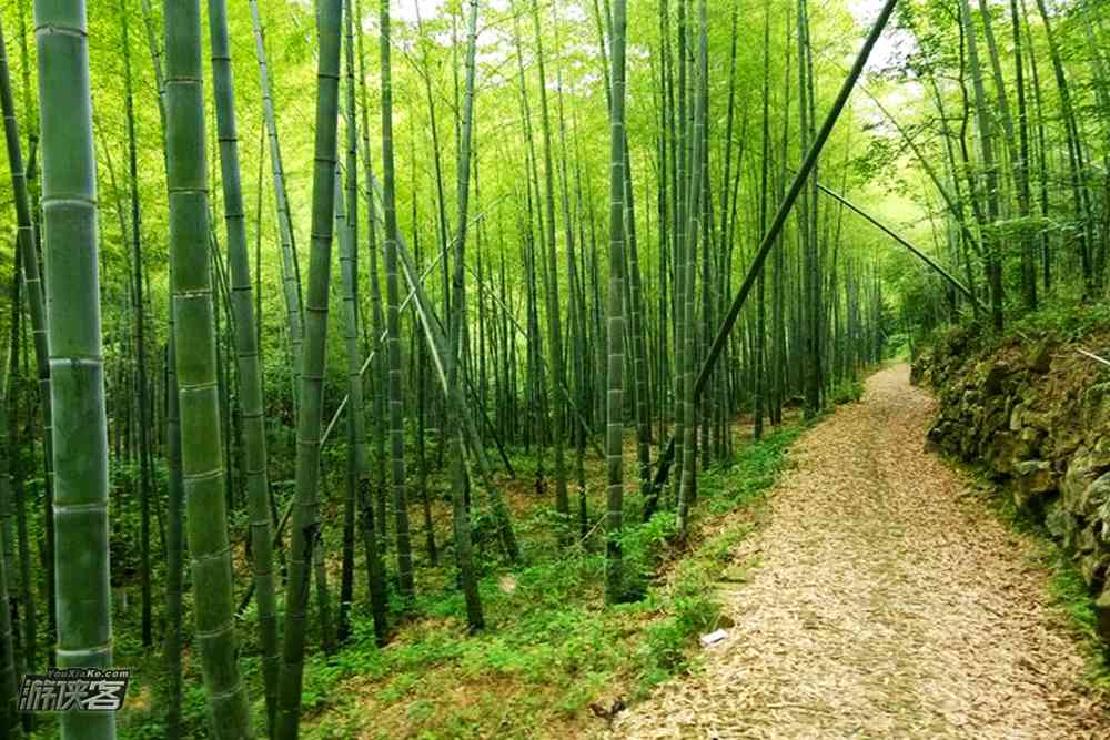 华东香格里拉菩提岭风车古道景色如何？