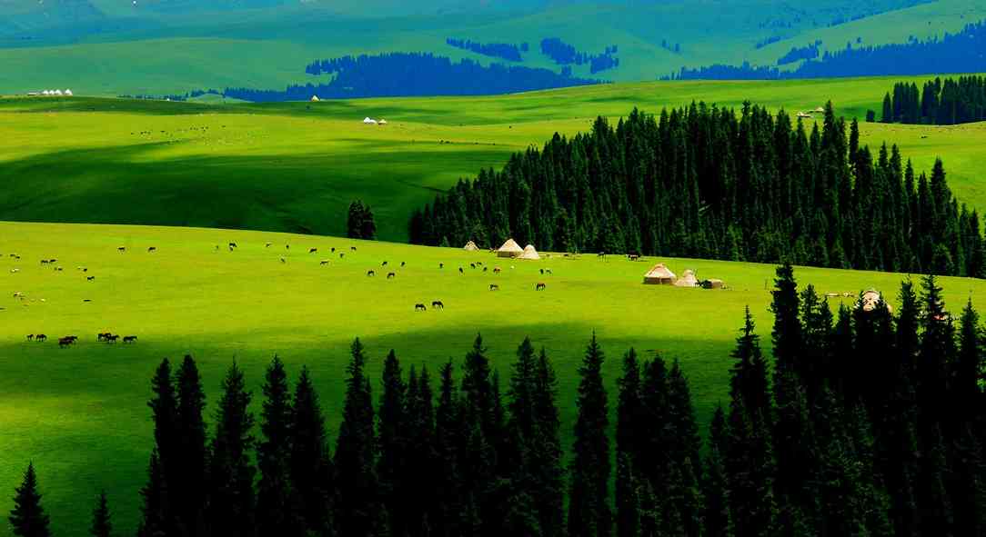 可以拴住野马的新疆十大草原