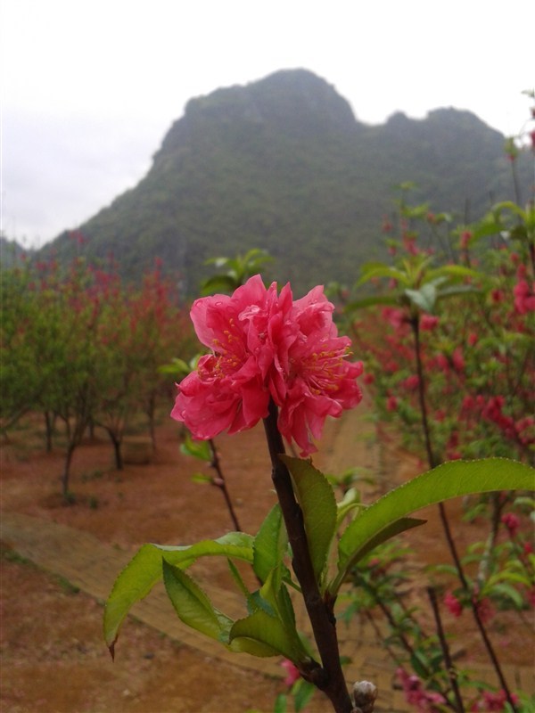 春湾风景区