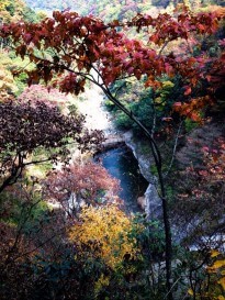 大别山主峰景区