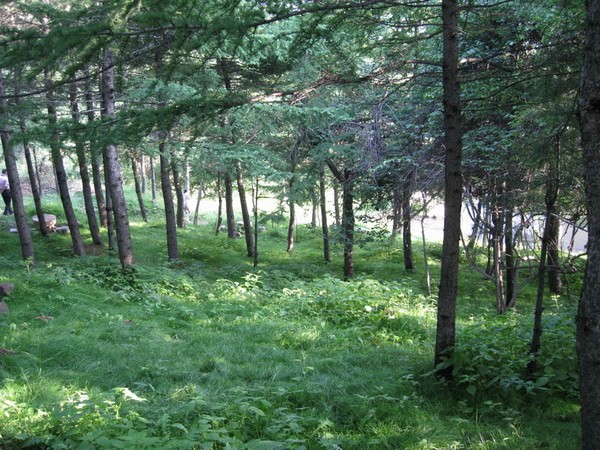 木札岭原始生态旅游区