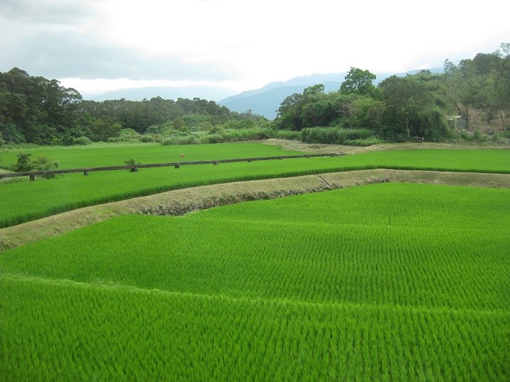 罗山有机村