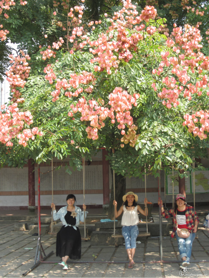 太平天国永安活动旧址