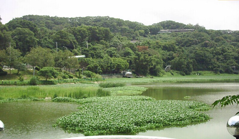 新竹青草湖