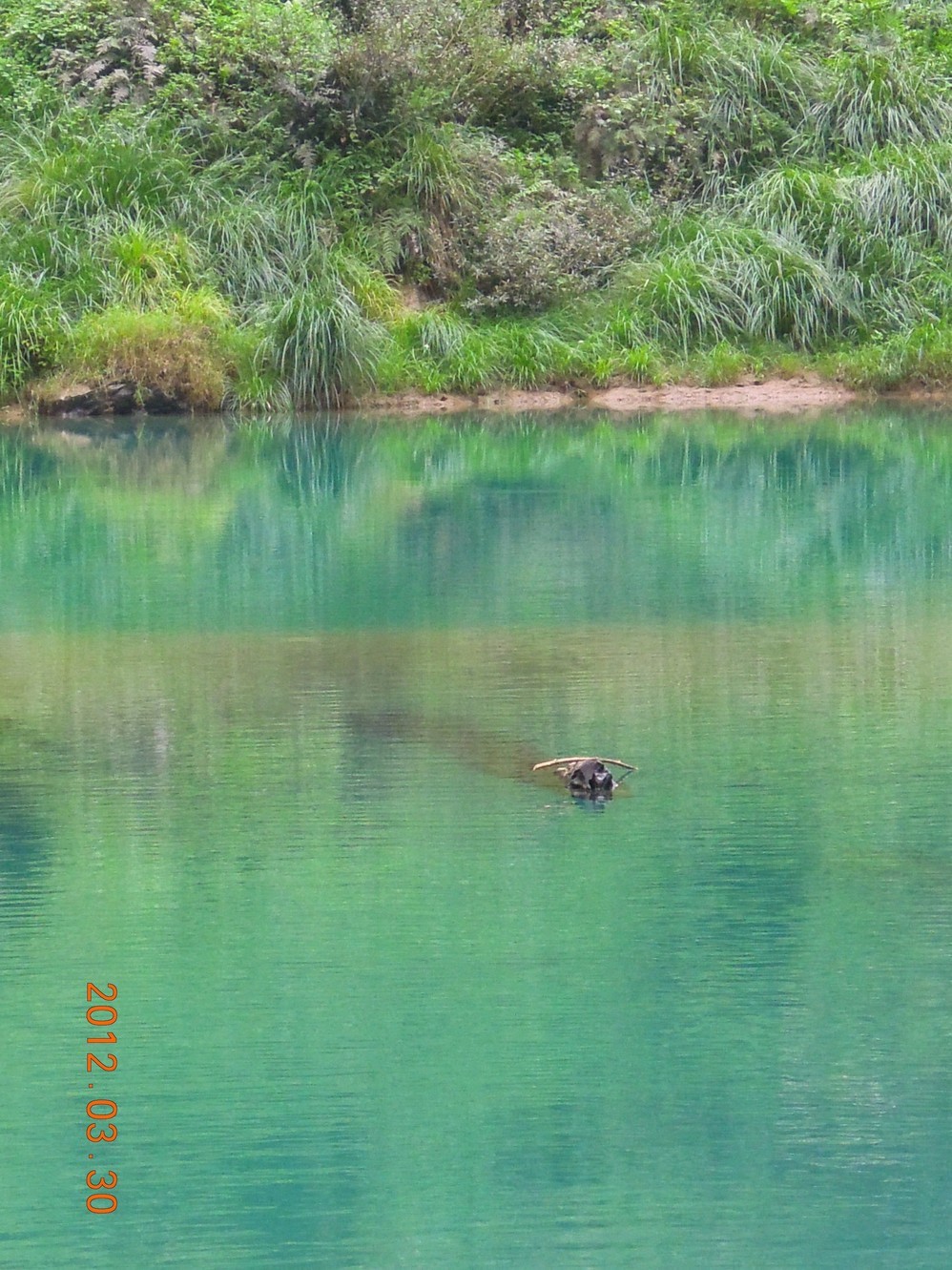 龙洪风景区