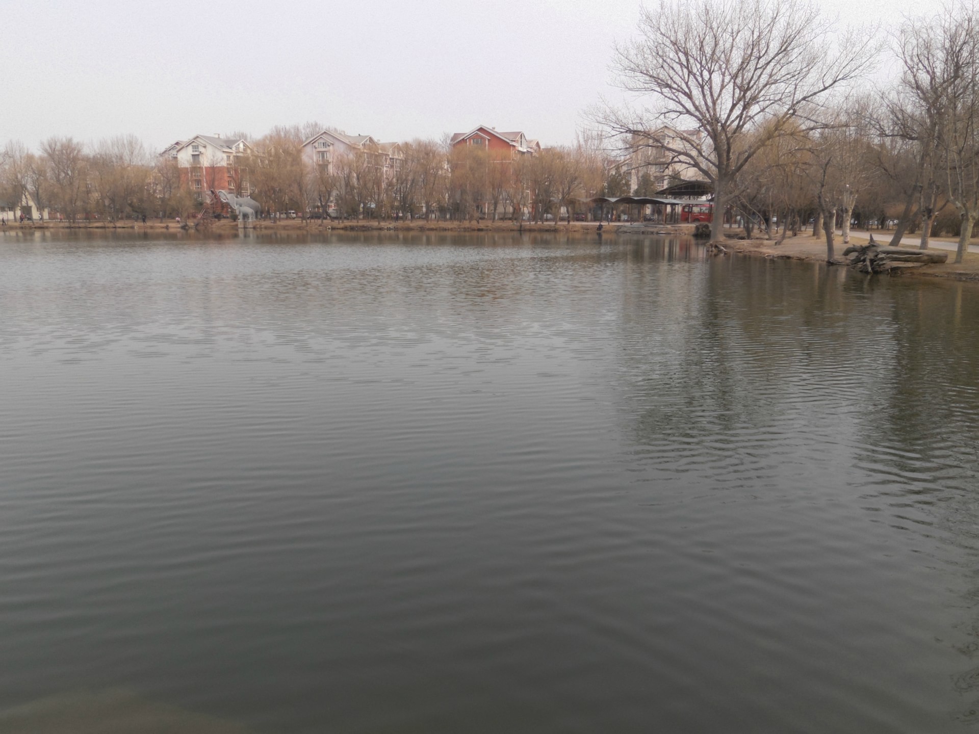 泽龙湖公园