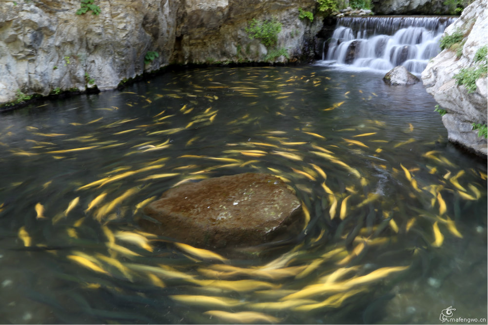 响水湖风景区