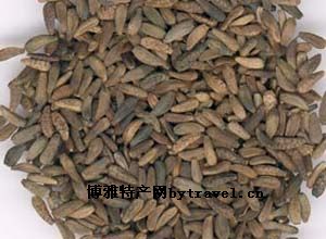 黑龙江牛蒡子