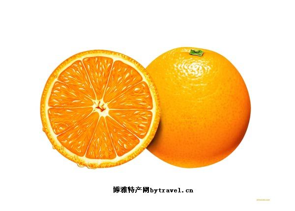 连江马鼻蜜橘