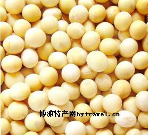 甘南大豆