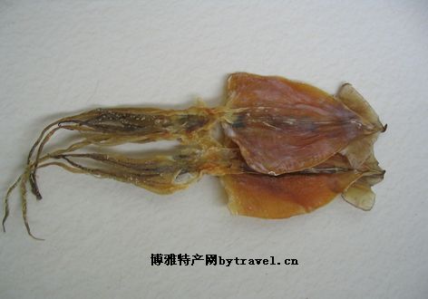 舟山墨鱼
