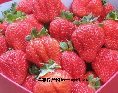 寿县草莓