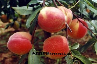 荣成蜜桃