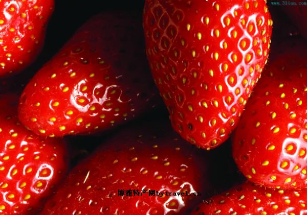 博山草莓