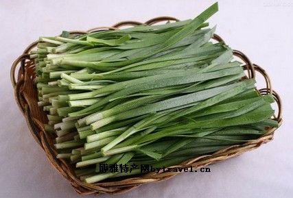 拴马棚韭菜