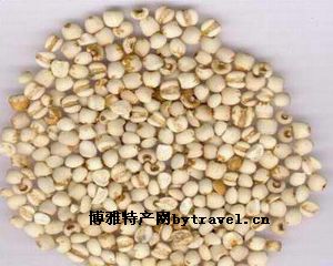薏仁