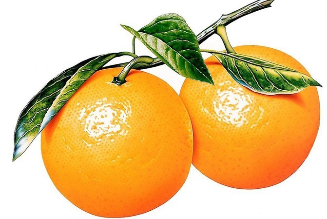 峨眉香橙