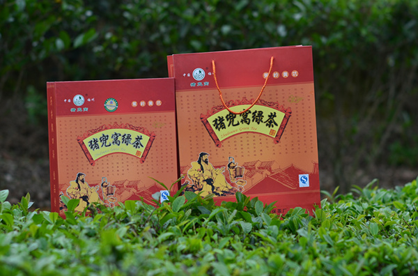 梅州猪兜窝绿茶
