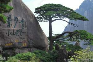 厦门到黄山全景、屯溪老街双卧四日游_黄山旅游