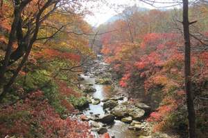 光雾山米仓山红叶11月还有吗 成都去米仓山红叶3日游多少钱