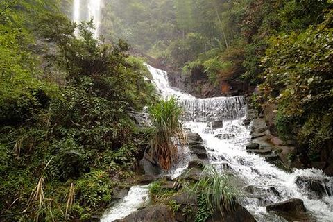 <长沙-韶山-张家界-天子山-凤凰古城5日游>长沙参团，赠凤凰古城