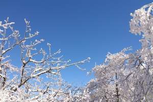 北京成团去苏杭旅游团费用}乌镇 周庄 木渎 苏州杭州飞高五日